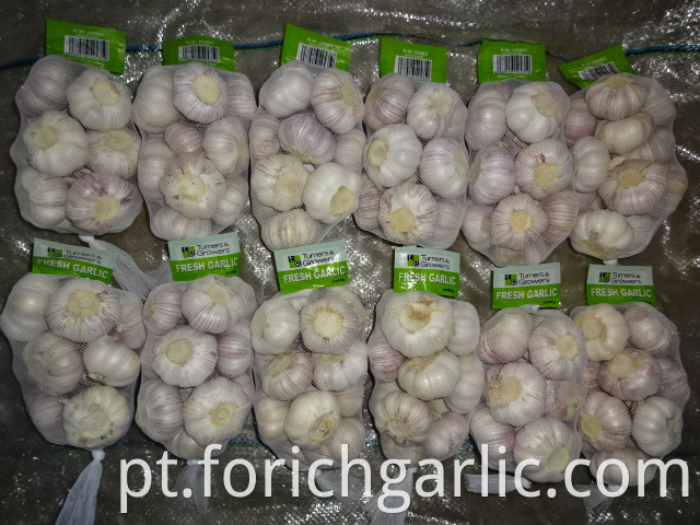 Normal White Garlic Of Fresh 2019